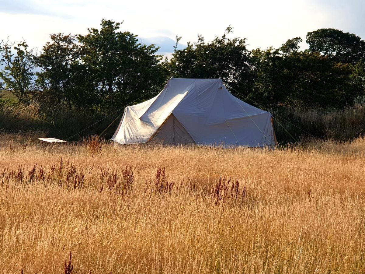 6M Emperor Tent Near Whitby With Log Burner Liverton Kültér fotó