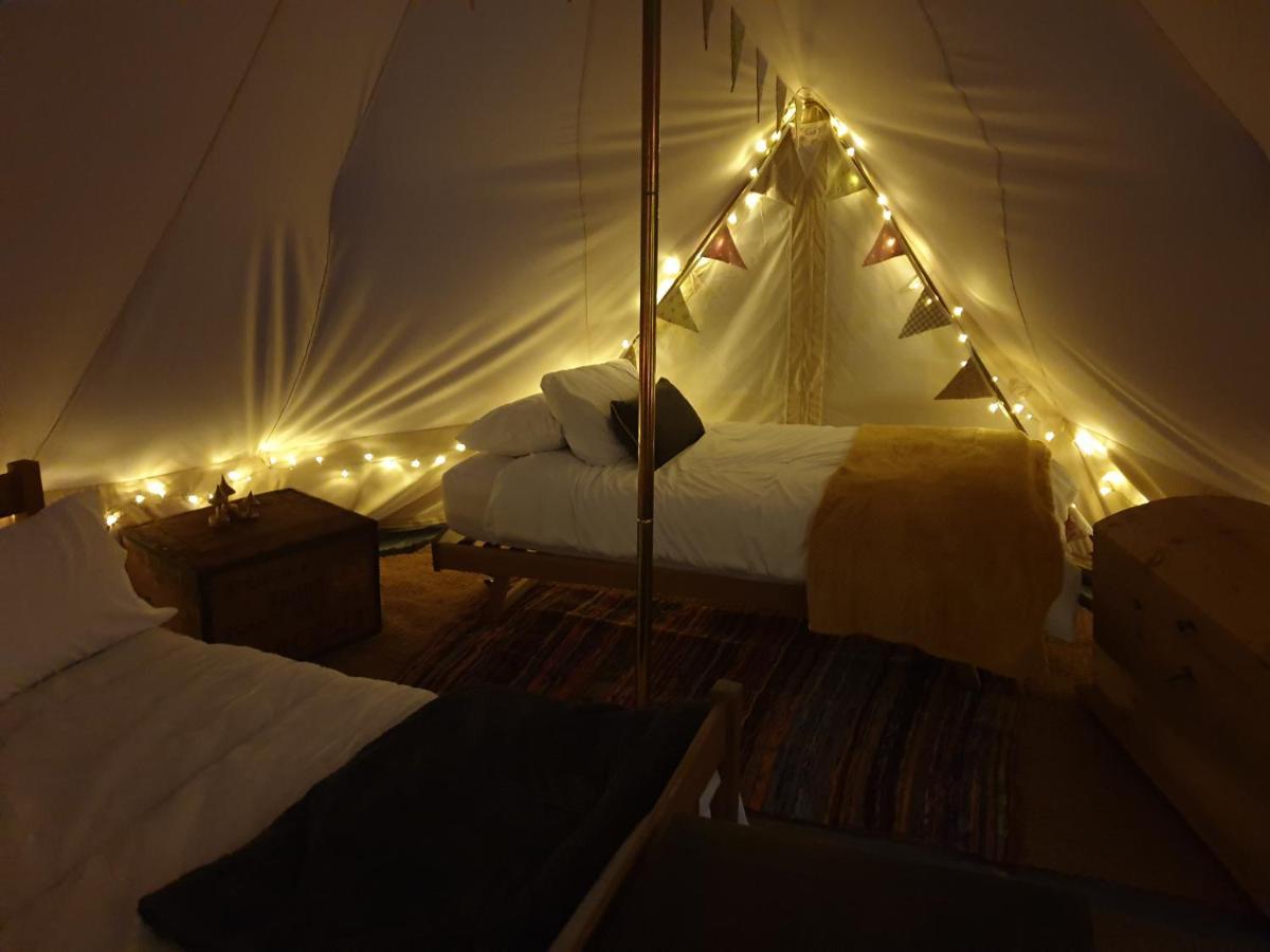 6M Emperor Tent Near Whitby With Log Burner Liverton Kültér fotó